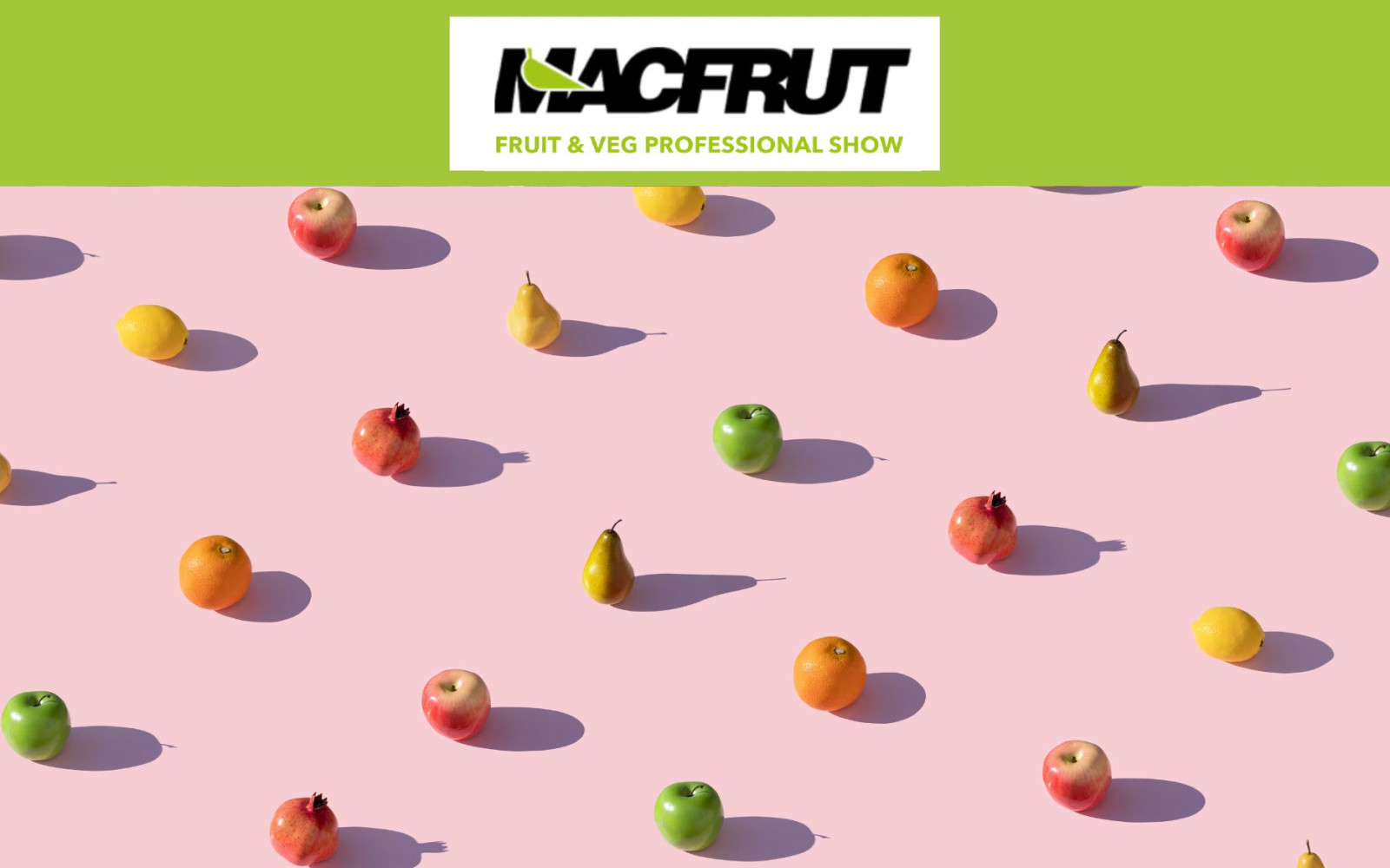 media.hotel-ceccarini-home-suite-riccione- (2)